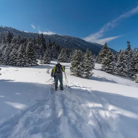 Θέρετρο Elatos & Health Club 4*