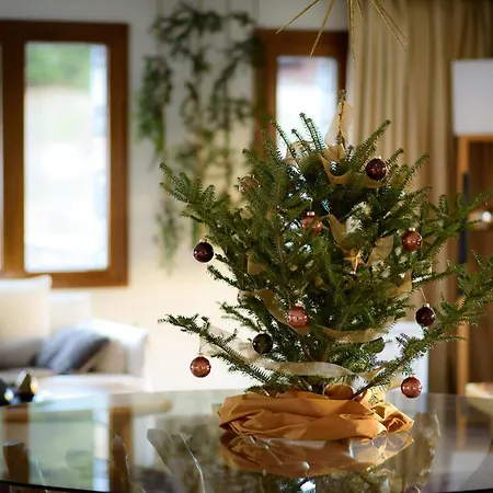 Elatos & Health Club 4*