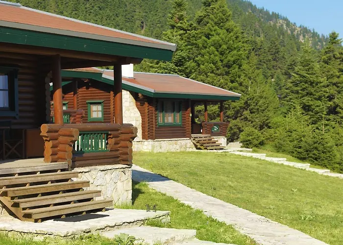 Elatos & Health Club Θέρετρο 4*