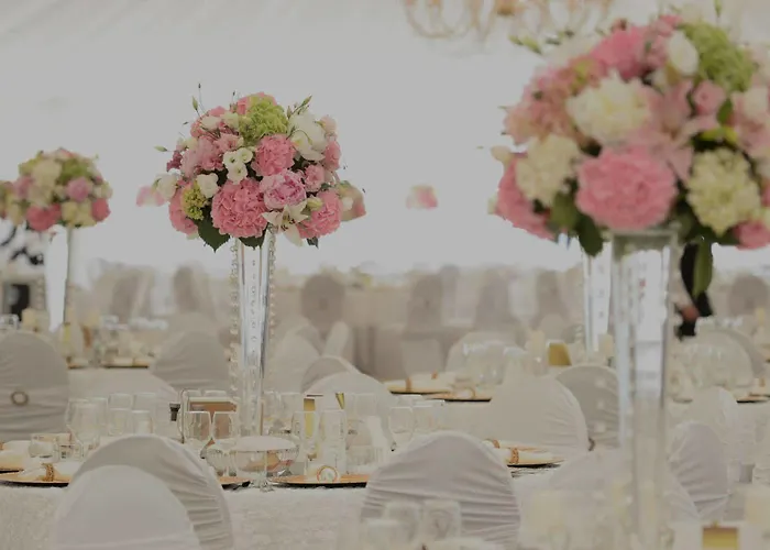 Θέρετρο Elatos & Health Club