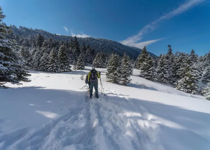 Θέρετρο Elatos & Health Club 4*