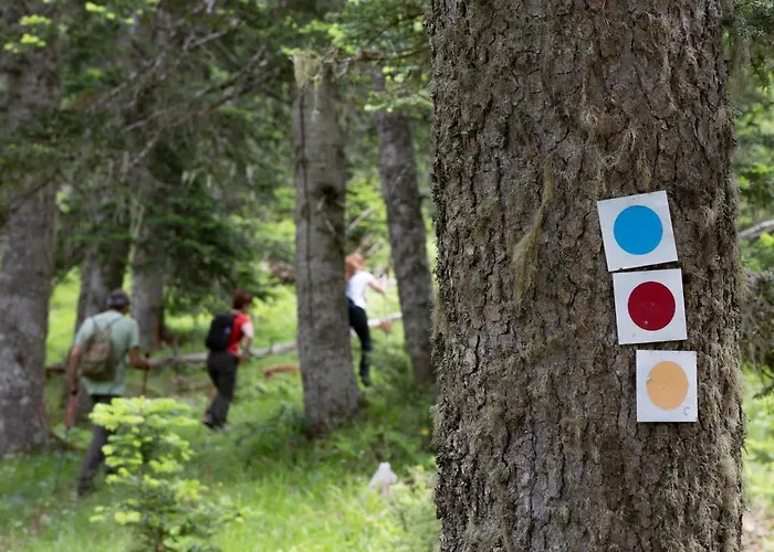 Elatos & Health Club